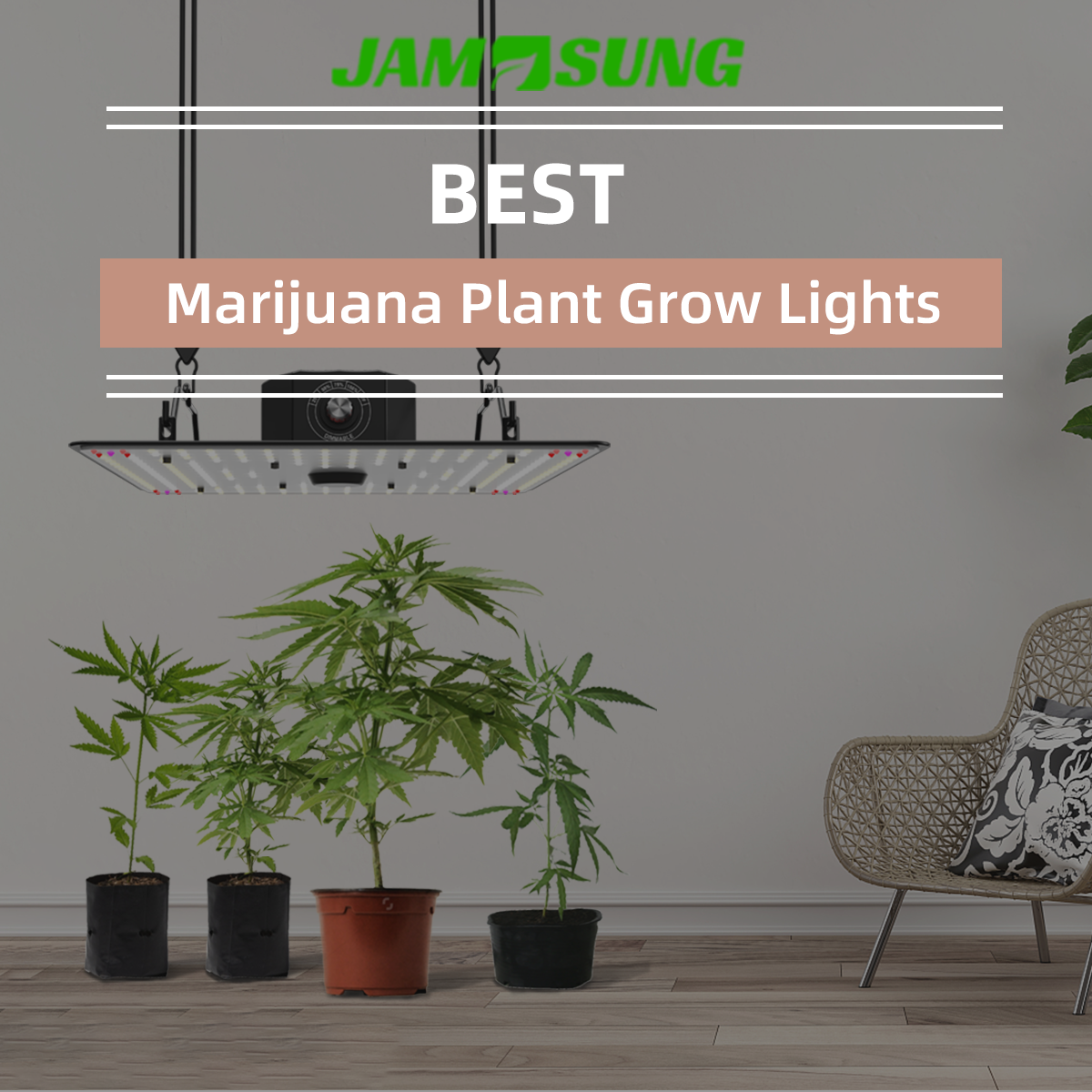 LED Grow Lights vs. HPS: A Comprehensive Review