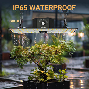 2023's Top Cannabis Grow Lights: JAMSUNG Leads with Durability, Warranty, and Affordability