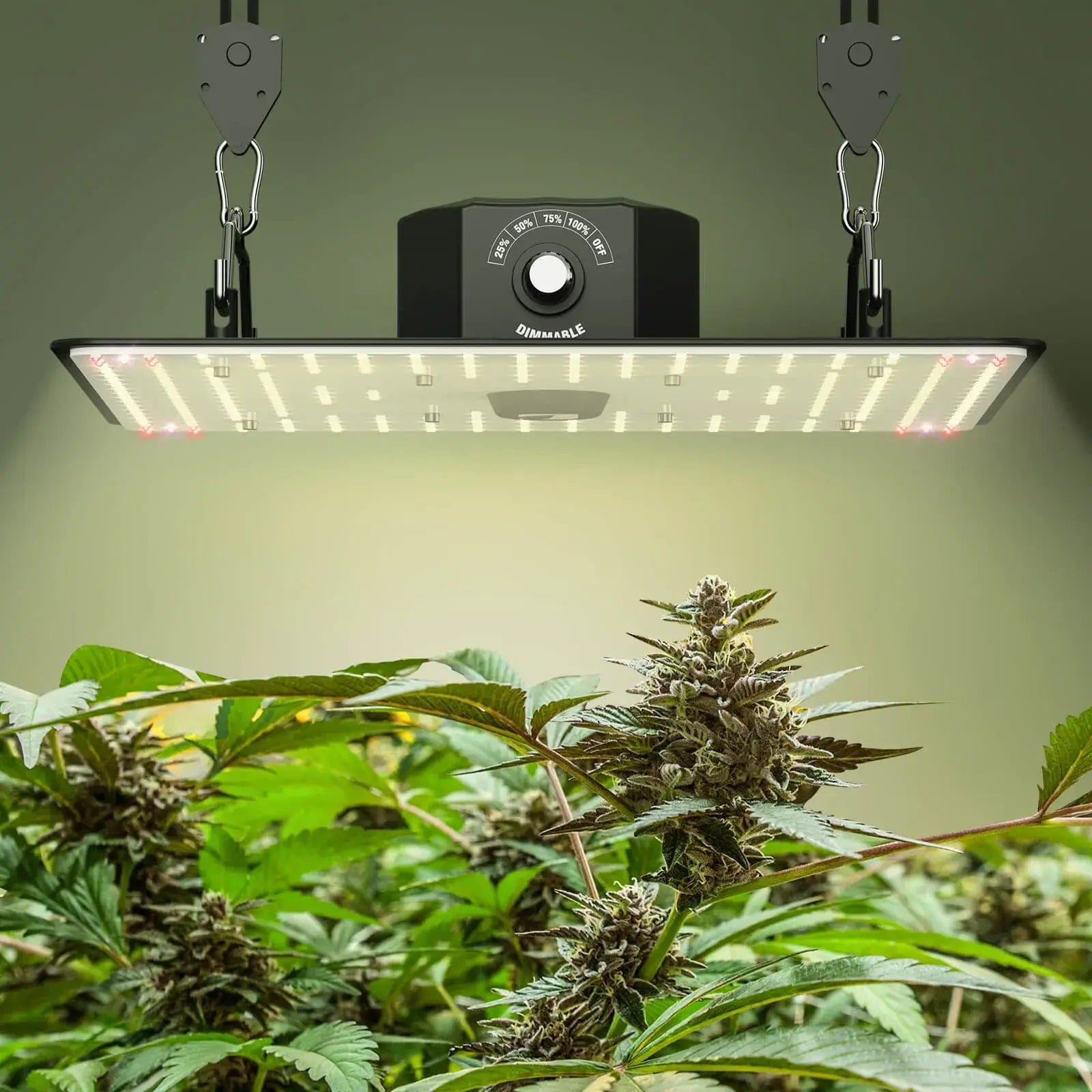 JAMSUNG-150W SD-X3 Led Grow Light